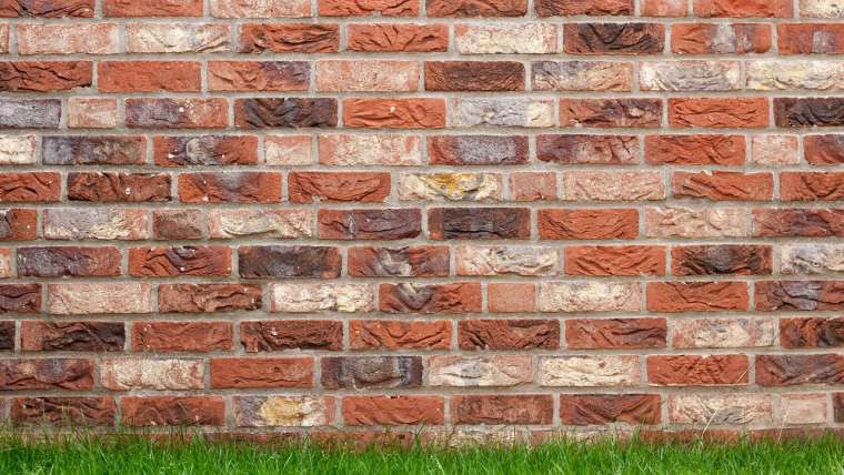 Garden Security Ideas to Protect Your Home